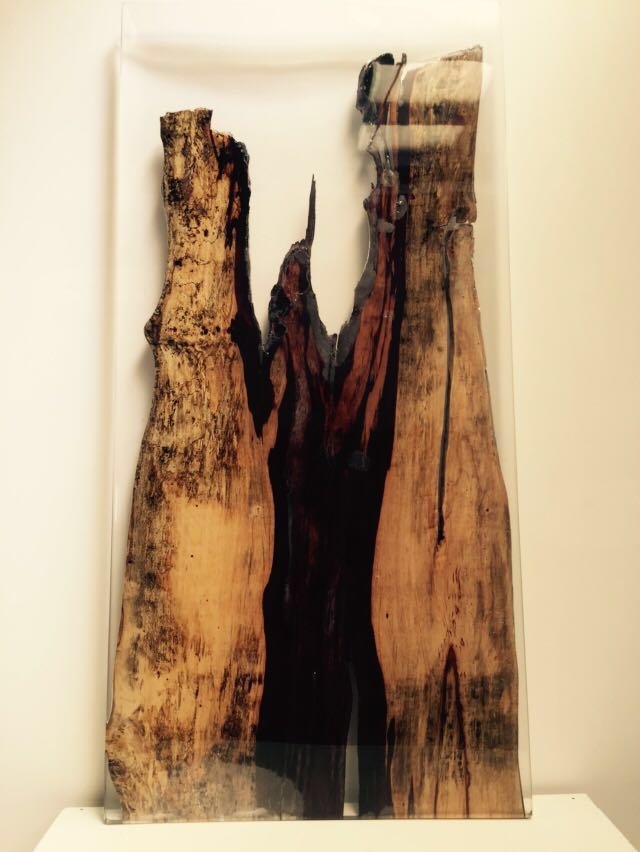 Tamarind and resin wall art Neil Scott Furniture
